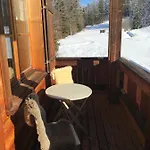 Morgentau Am Rande Der Wildnis
