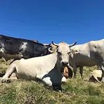 Appartement Morgentau Am Rande Der Wildnis Sibratsgfäll