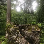 アパート Morgentau Am Rande Der Wildnis