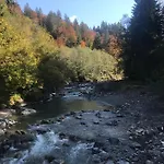 Morgentau Am Rande Der Wildnis Sibratsgfäll