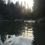Morgentau Am Rande Der Wildnis Sibratsgfäll