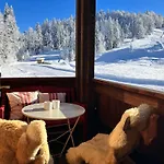 Morgentau Am Rande Der Wildnis Sibratsgfäll