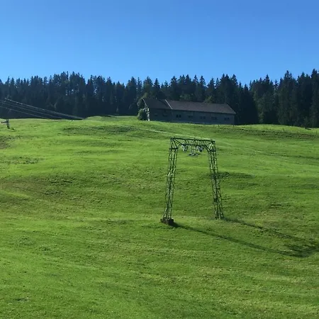 Morgentau Am Rande Der Wildnis