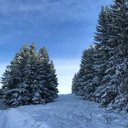 Apartment Morgentau Am Rande Der Wildnis