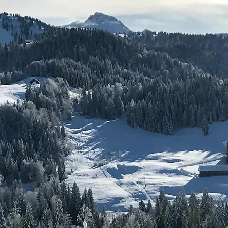 Morgentau Am Rande Der Wildnis