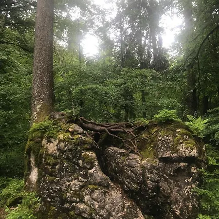 Appartement Morgentau Am Rande Der Wildnis