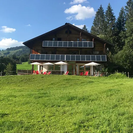 Morgentau Am Rande Der Wildnis Sibratsgfäll