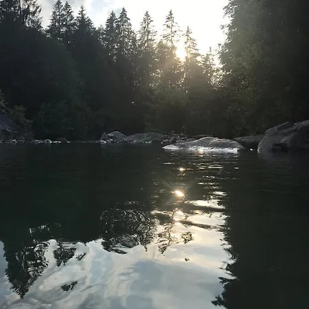 Morgentau Am Rande Der Wildnis Sibratsgfäll