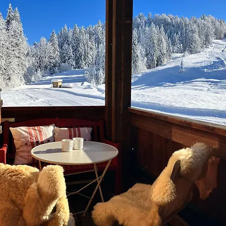Morgentau Am Rande Der Wildnis Sibratsgfäll