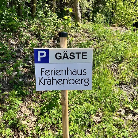 Morgentau Am Rande Der Wildnis *