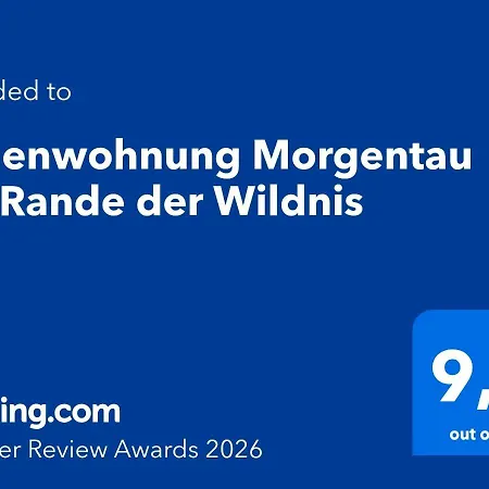 Morgentau Am Rande Der Wildnis